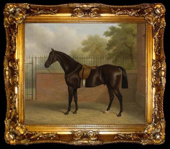 framed  Paul, John Bay Stallion, ta009-2